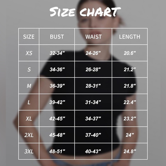 New Women's Crew Neck Short Sleeve Top Sz Small - Picture 3 of 3